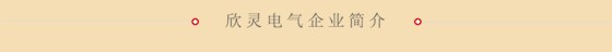 欣靈電氣簡(jiǎn)介