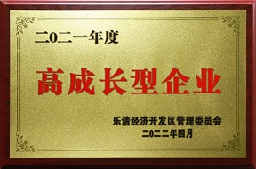 2021年度高成長型企業(yè)_欣靈